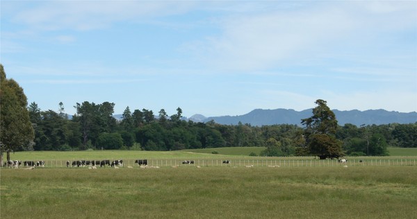 The 'new age' of rural real estate ownership in New Zealand &#8211; Gwavas Station in the Hawke's Bay is being marketed for sale to a group of equity shareholders. 